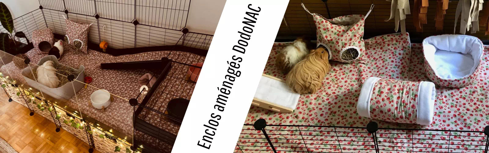 enclos cochon d'inde aménagé avec lit douillet, sac à foin, tapis sur-mesure et tunnel