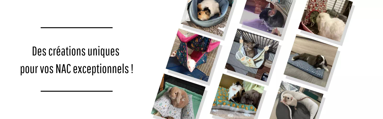 Accessoires et lits confortables personnalisables pour petits animaux ( rongeurs, lapin, furet, chinchilla )- Dodonac.fr