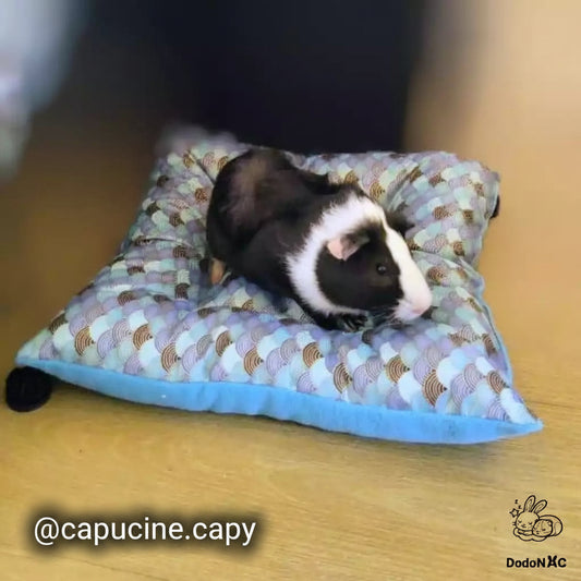 coussin moelleux pour cochon d'inde