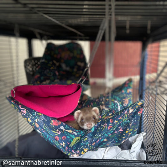 Furet brun blotti dans un hamac suspendu à motifs tropicaux et flamants roses à l'intérieur d'une cage métallique pour animaux de compagnie.