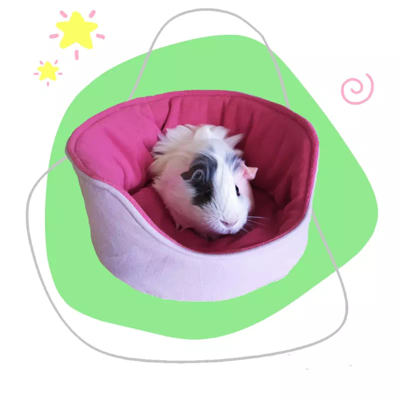 Lit douillet dodoNAC moelleux parme et fuchsia personnalisé pour lapin, furet, cochon d'inde