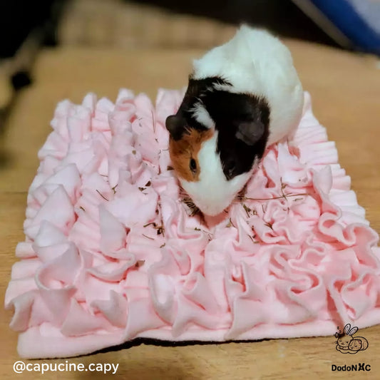 tapis de fouille pour cochon d'inde dodonac