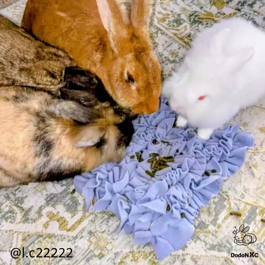 tapis de fouille pour lapins