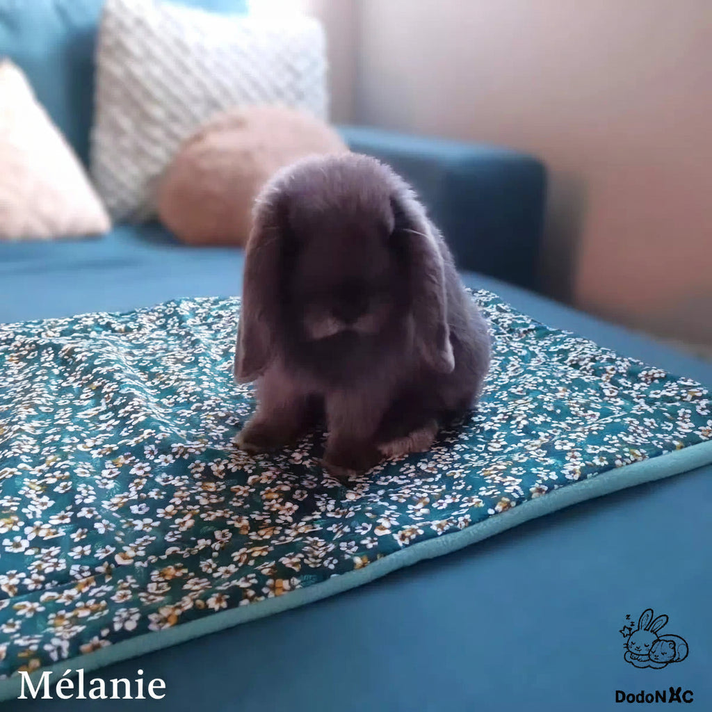 Pee pad ou tapis litiére absorbant sur-mesure lavable dodoNAC pour aménager sa cage de rongeurs, lapins, furet, cochon d'inde fait main et personnalisable pour créer une cage unique présenté avec un tissu motif fleurs