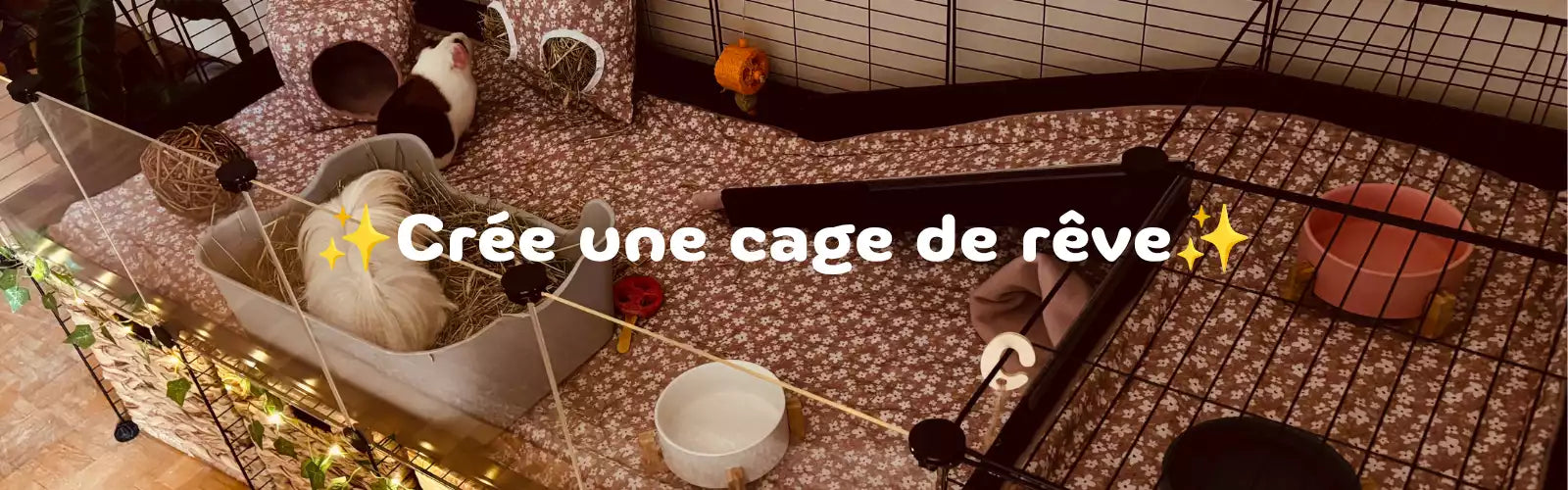 Cage pour rongeurs aménagée avec accessoires en tissu et cochons d'Inde