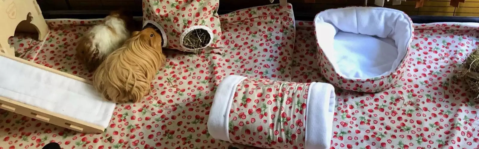 Installation complète pour cochons d'Inde avec accessoires en tissu motif fraises : sac à foin, tunnel, dodo et rampe dans un enclos propre