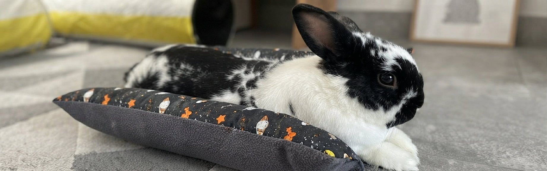 Un gros plan au niveau du sol montre un lapin bélier nain noir et blanc couché confortablement sur le côté, la tête levée et regardant vers la droite. Il repose sur un coussin de forme ovale, gris foncé sur le dessous et avec un tissu à motifs colorés (étoiles oranges et planètes blanches sur fond noir) sur le dessus. Le coussin est posé sur un tapis gris à motifs géométriques. L'arrière-plan est légèrement flou, avec une partie d'un tunnel jaune à gauche et un cadre de meuble en bois à droite, dans un inté