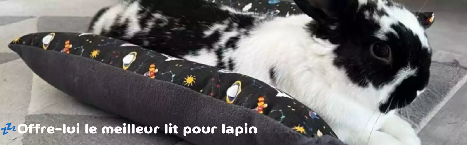 Lapin noir et blanc allongé sur un lit douillet motif planètes