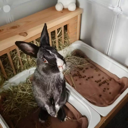 Lapin noir et blanc debout dans son enclos à côté de son bac et de son tapis de litière sur-mesure