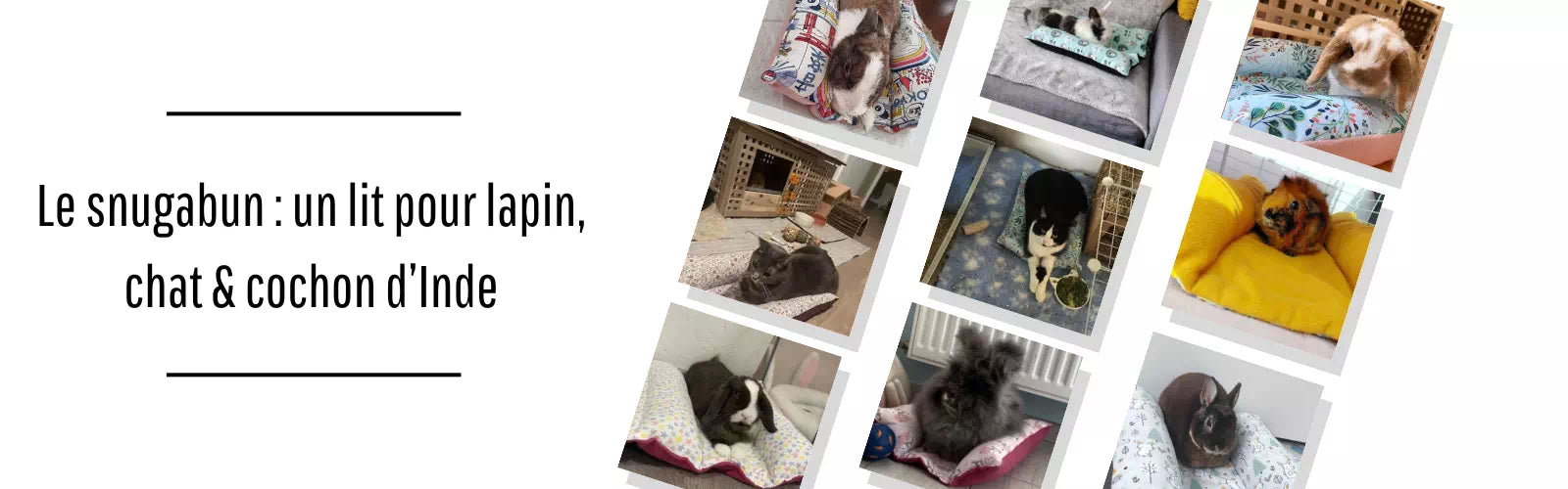 lit lapin snugabun, lit pour chat, lit douillet cochon d'inde