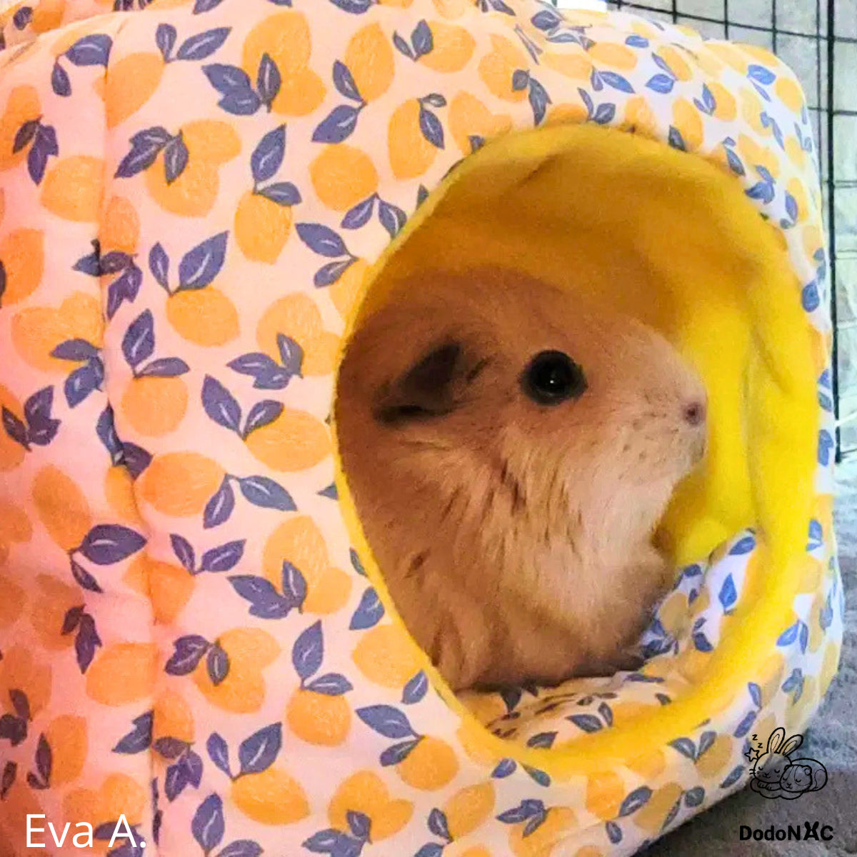Un cochon d'Inde de couleur crème est assis confortablement à l'intérieur d'une petite cachette en forme d'igloo jaune, avec un tissu extérieur à motifs d'oranges et de feuilles bleues.