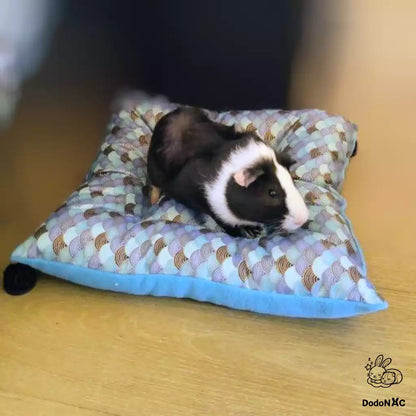 coussin moelleux pour cochon d'inde