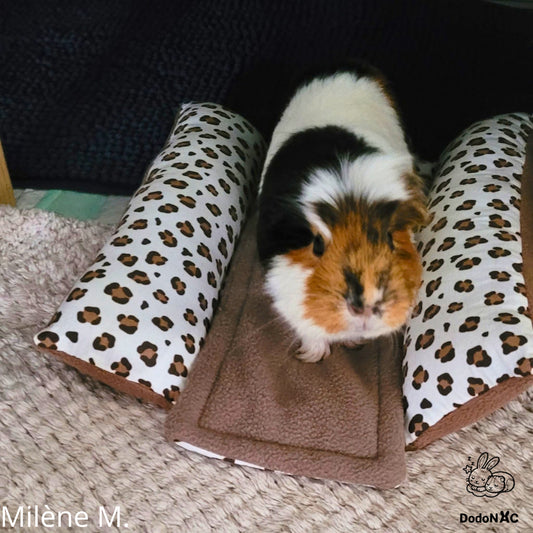cochon d'inde tricolore sur son coussin grenouille en coton léopard et polaire taupe