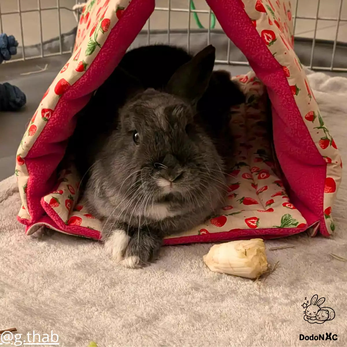 Lapin gris dans un dodo tunnel et dodo cachette en tissu à motifs fraises DodoNAC