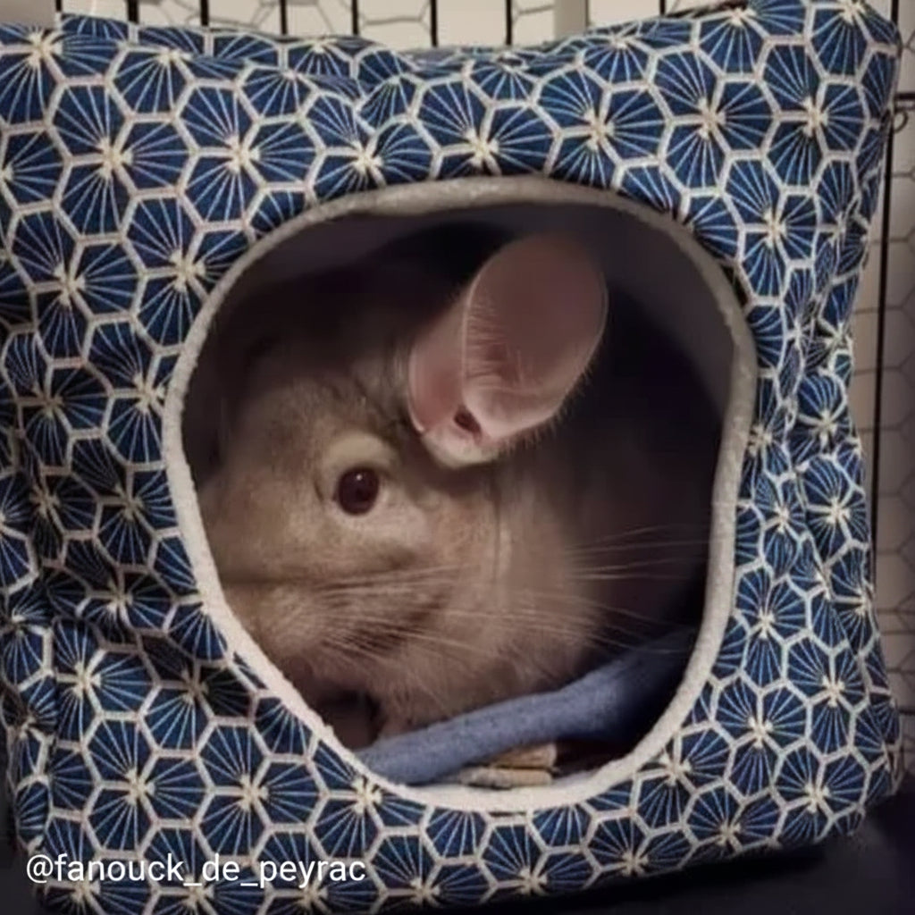 maison pour chinchilla