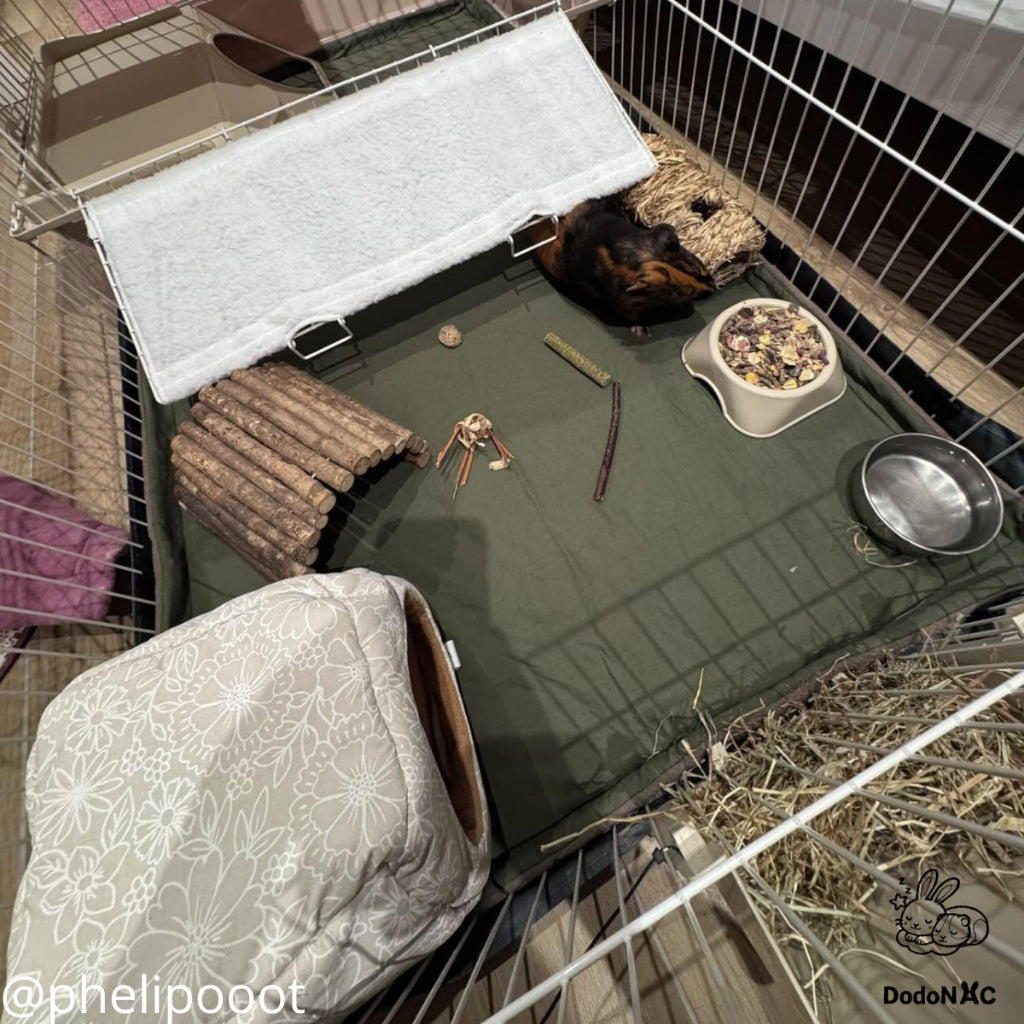 Enclos intérieur aménagé pour cochon d'Inde avec tapis vert, cabane en bois, cachette douillette à motifs floraux, râtelier à foin et gamelles de nourriture.