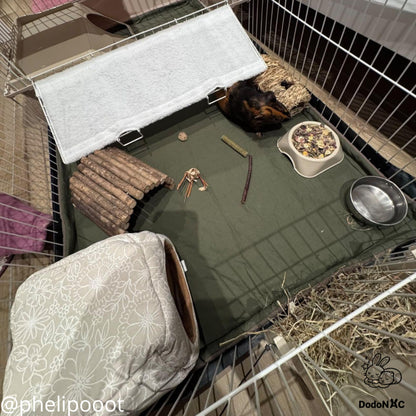 Enclos intérieur aménagé pour cochon d'Inde avec tapis vert, cabane en bois, cachette douillette à motifs floraux, râtelier à foin et gamelles de nourriture.