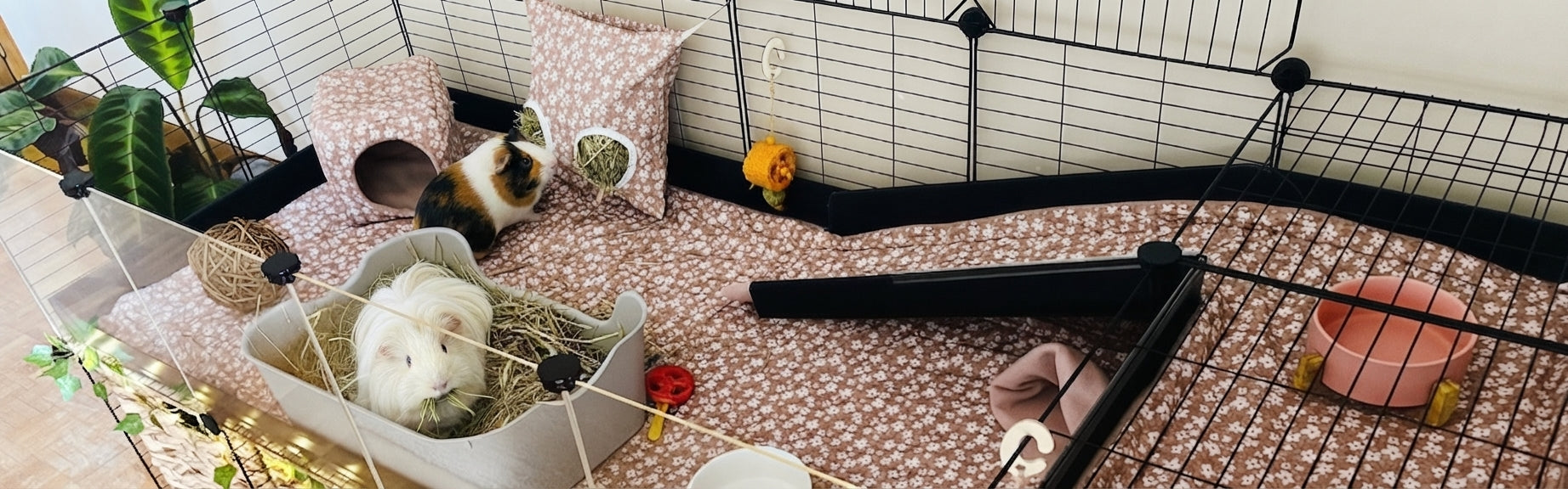 Grand enclos aménagé et chaleureux pour cochons d'Inde avec accessoires et tapis douillets DodoNAC