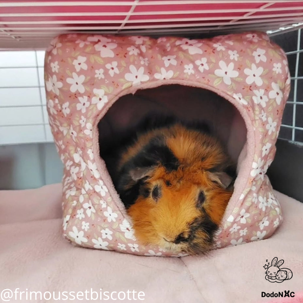 Un cobaye tricolore (roux, noir, brun) bien installé à l'intérieur d'une maisonnette de couchage en tissu rose avec un motif de fleurs blanches et un intérieur rose uni. L'habitat est propre avec une couverture rose. Image créditée @frimoussetbiscotte et DodoNAC