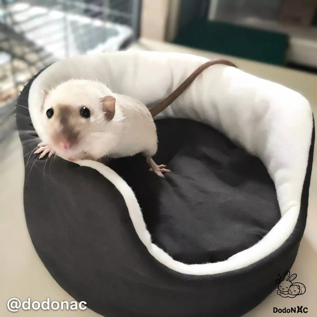 rat dans son couffin ou cuddle cup dodoNAC lit douillet douillet pour rongeurs confortable avec intérieur en polaire fait main