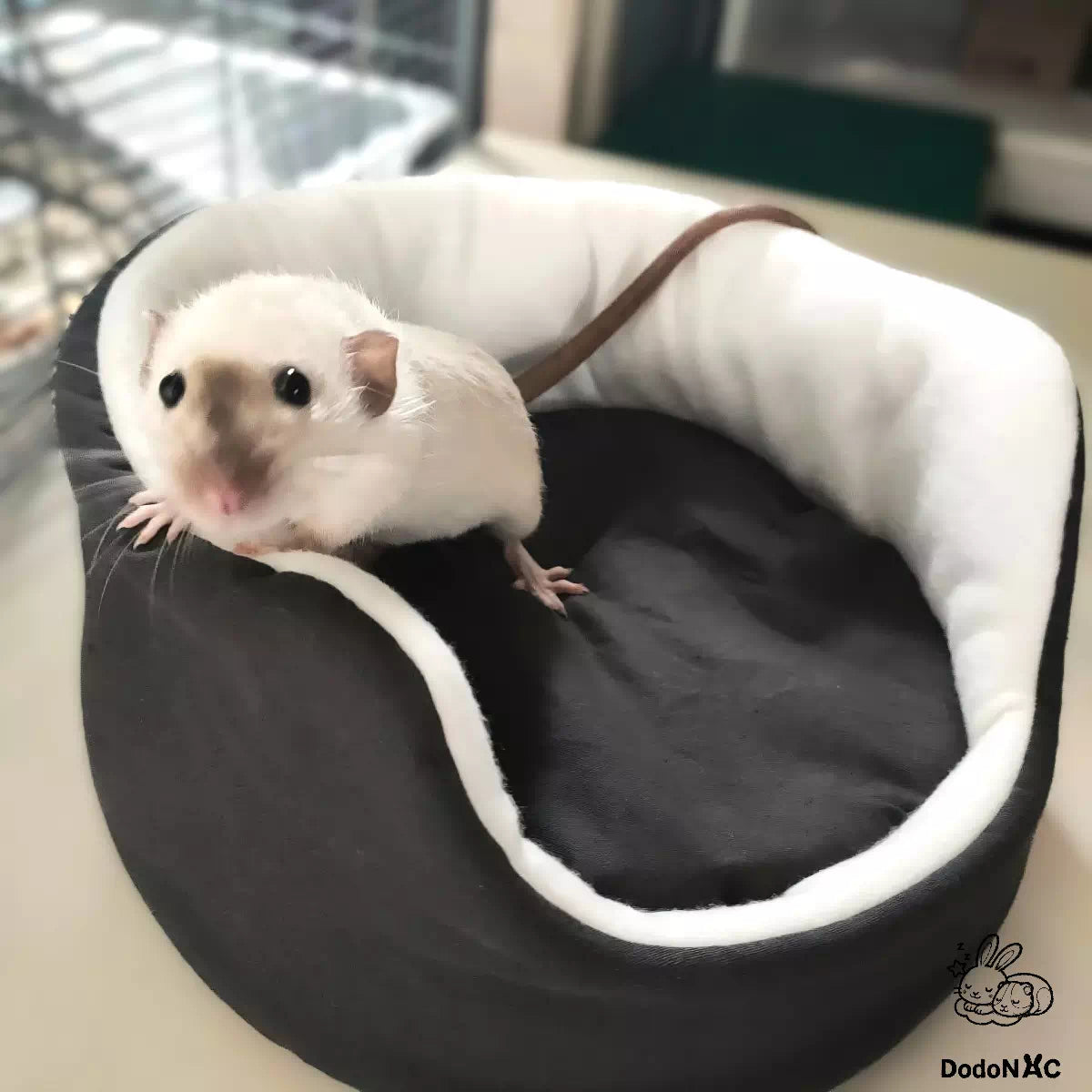 rat dans son couffin ou cuddle cup dodoNAC lit douillet douillet pour rongeurs confortable avec intérieur en polaire fait main