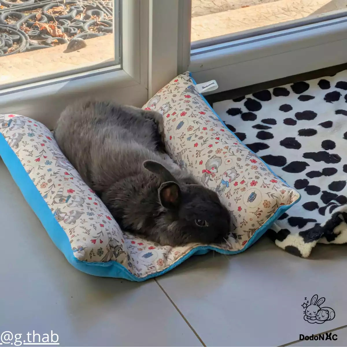 Lapin étendu et détendu sur un lit pour lapin DodoNAC près d'une baie vitrée