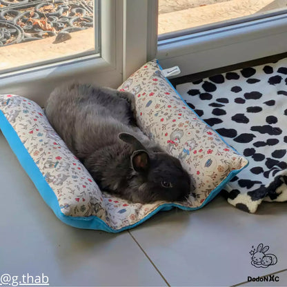 Lapin étendu et détendu sur un lit pour lapin DodoNAC près d'une baie vitrée