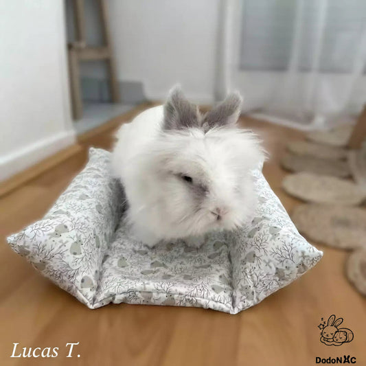lapin mignon couché confortablement sur son snugabun rafraîchissant d'été, snuggle bed, accessoire lapin, coussin absorbant fait main et personnalisé dodoNAC