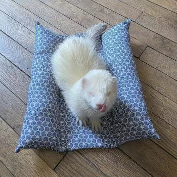 tapis rafraichissant pour furet