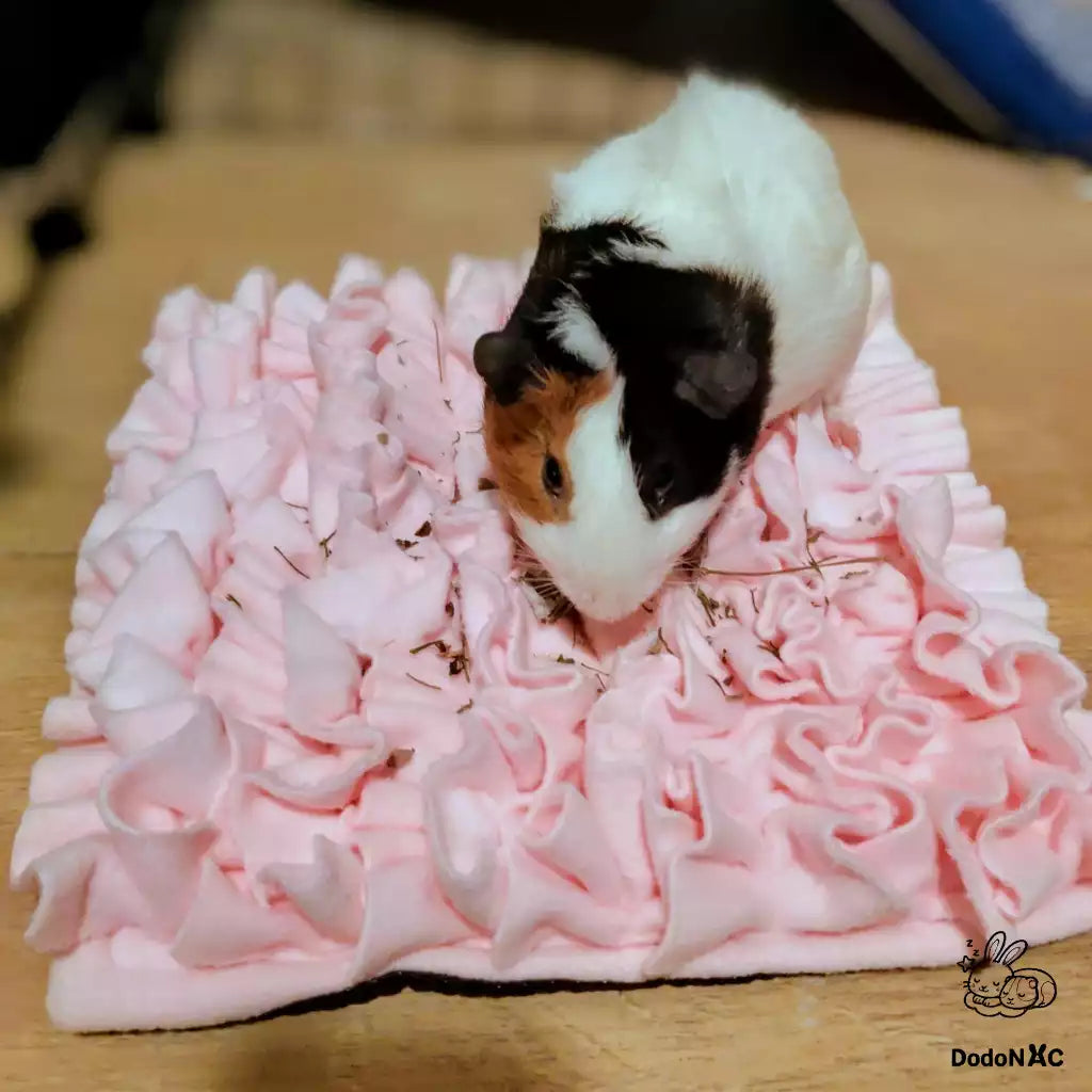 tapis de fouille pour cochon d'inde dodonac