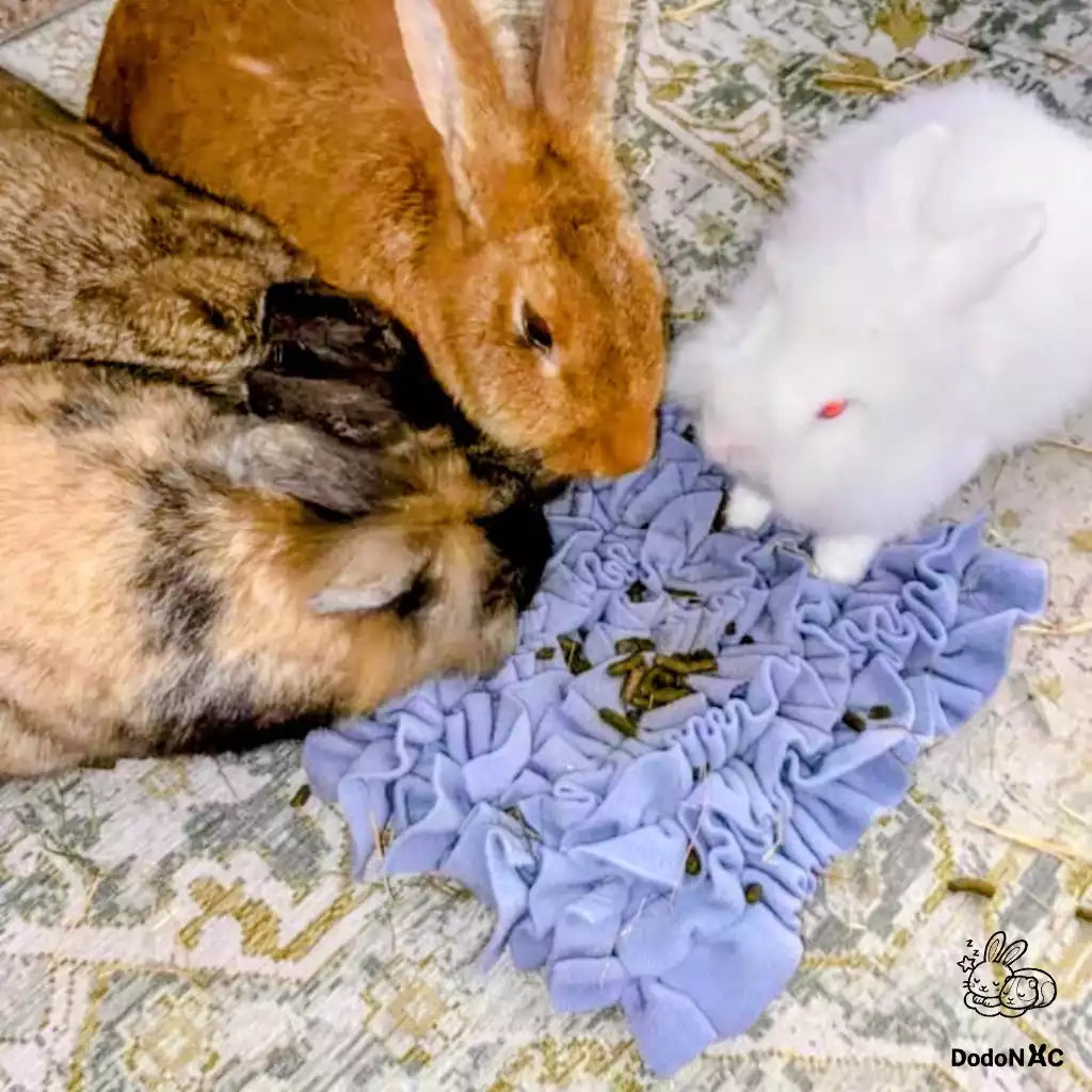 tapis de fouille pour lapins