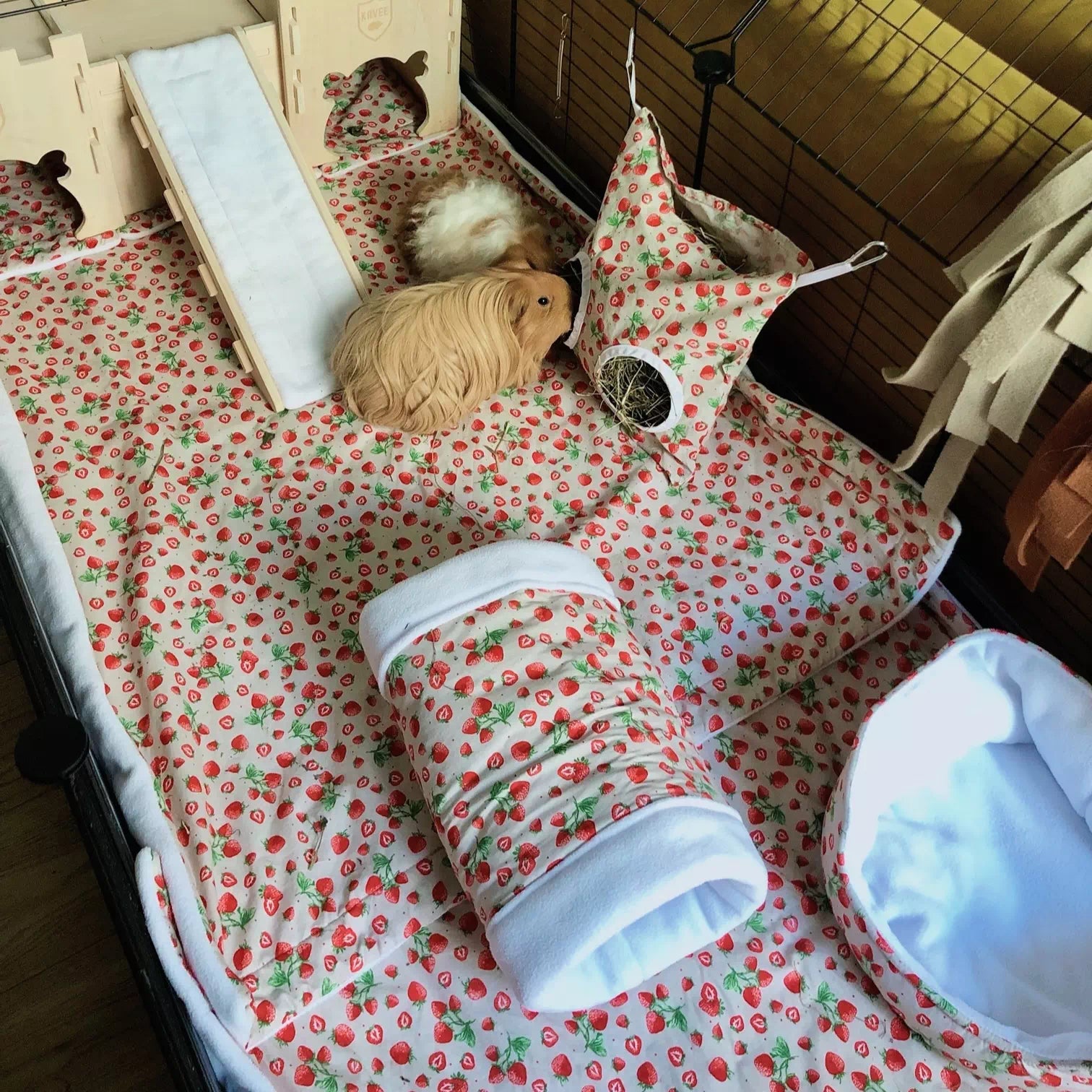 enclos cochon d'inde aménagé avec lit douillet, sac à foin, tapis sur-mesure et tunnel