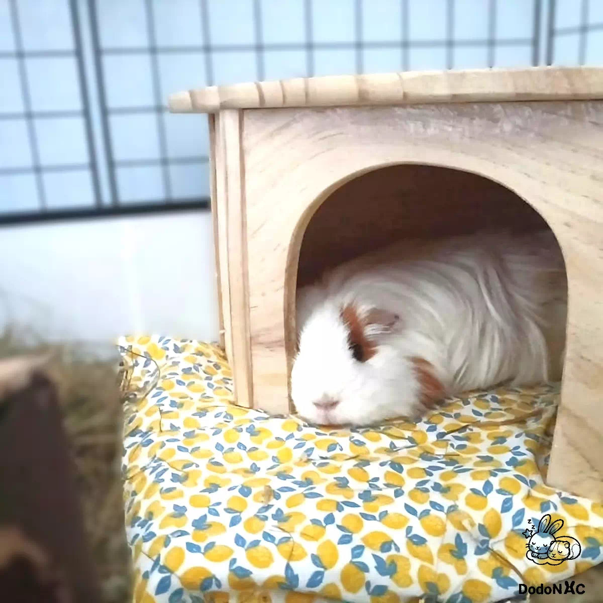 tapis rafraîchissant 3 en 1 d'été dodoNAC pour éviter les coups de chaud d'un cochon d'indedans sa cage avec pain de glace et fonction tapis litiére absorbant fait main et personnalisable
