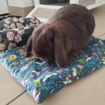 tapis rafraichissant pour lapin
