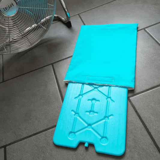 tapis rafraîchissant d'été avec pain de glace 2en1 peepad pour lapin et petits animaux 